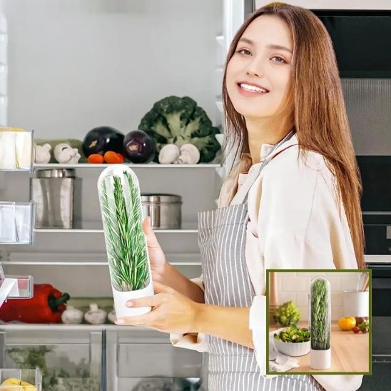 Conservateur d’Herbes Fraîches