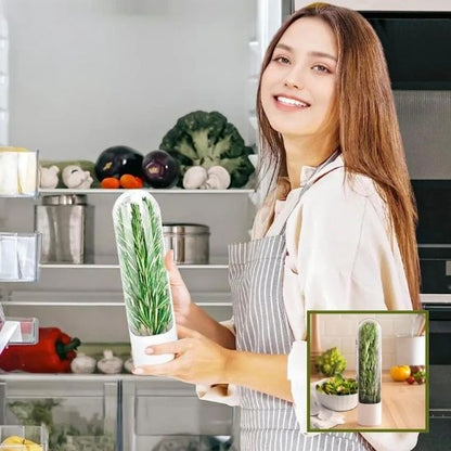 Conservateur d’Herbes Fraîches