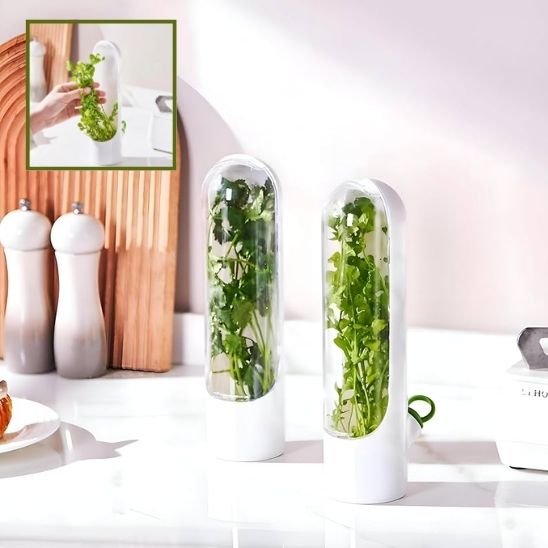 Conservateur d’Herbes Fraîches