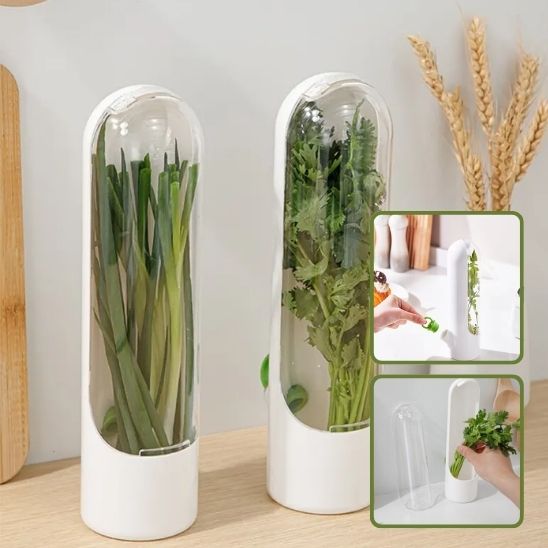 Conservateur d’Herbes Fraîches