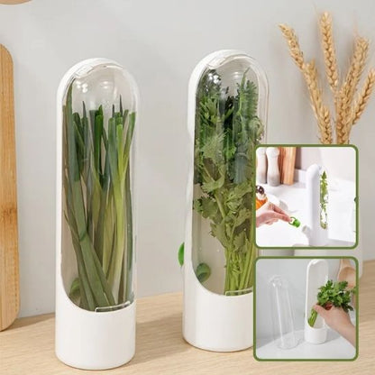 Conservateur d’Herbes Fraîches