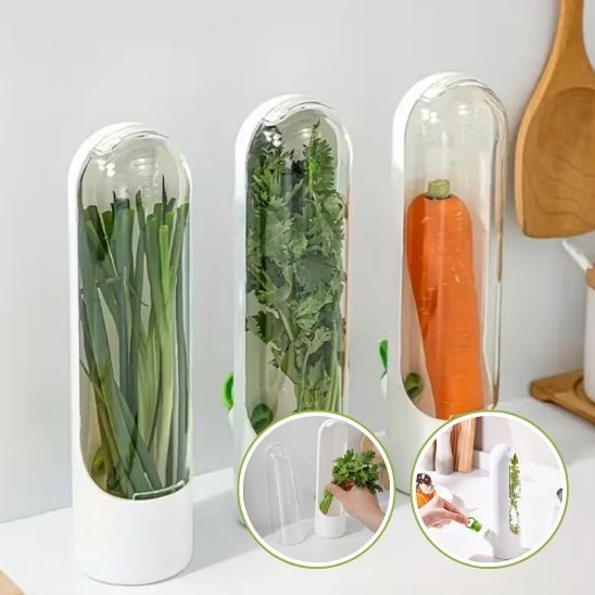 Conservateur d’Herbes Fraîches